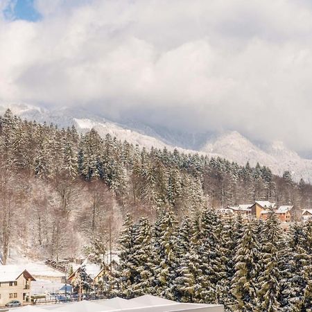 Bucegi View 39 - Colina Marei Sinaia Exterior foto
