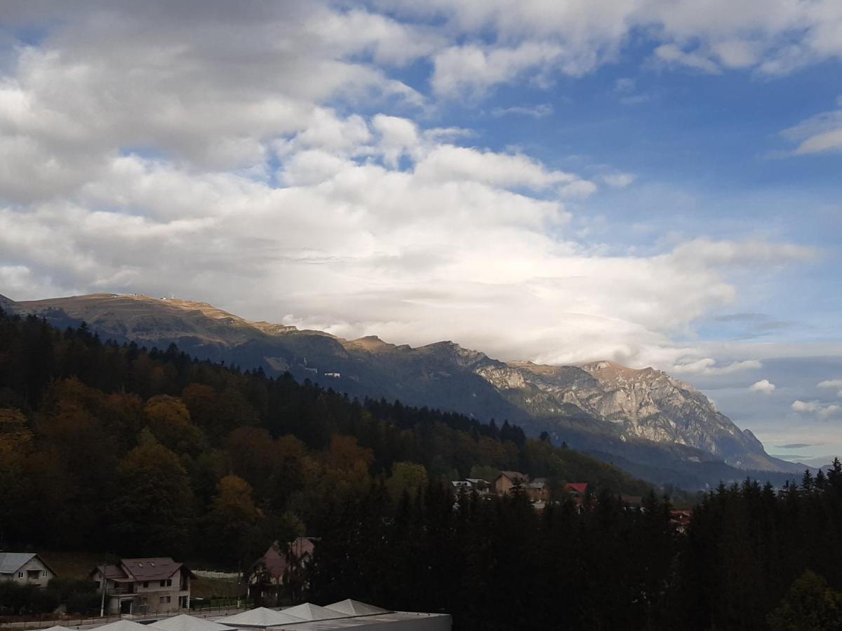 Bucegi View 39 - Colina Marei Sinaia Exterior foto
