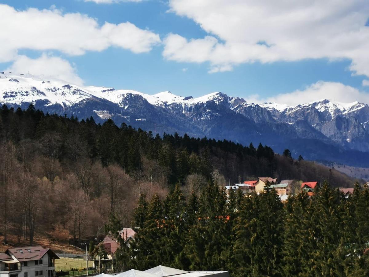 Bucegi View 39 - Colina Marei Sinaia Exterior foto